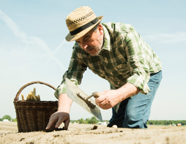 farmer farming in the sun